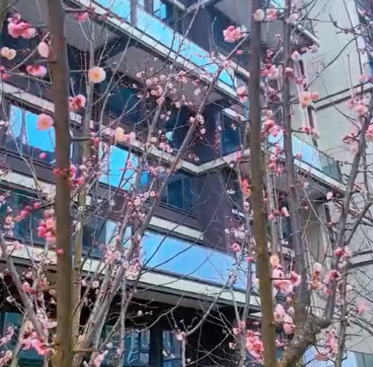 eps外墻線條的標(biāo)準(zhǔn)用材，你不要錯(cuò)過了！